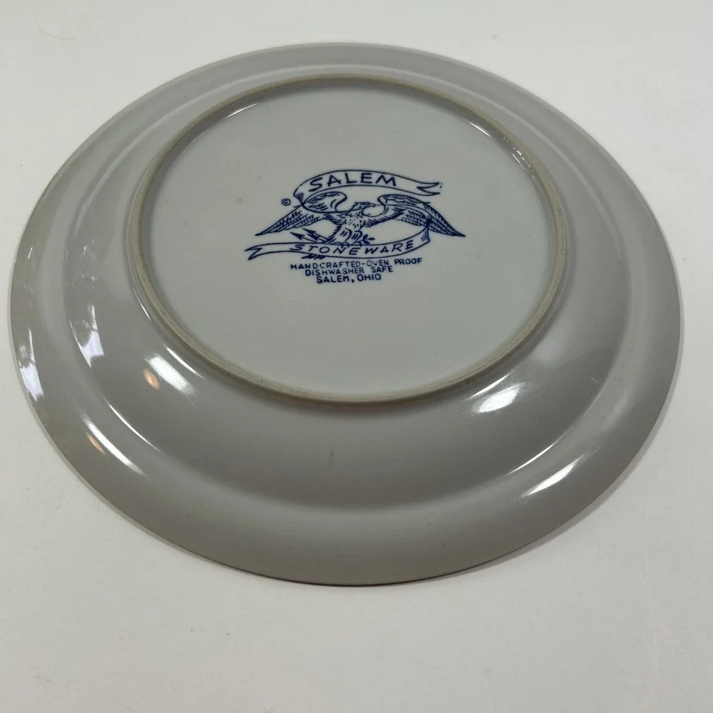 Vtg Salem Stoneware Georgetown‎ Eagle Shield Dinner Plate 10 Inch